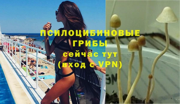 дживик Бронницы